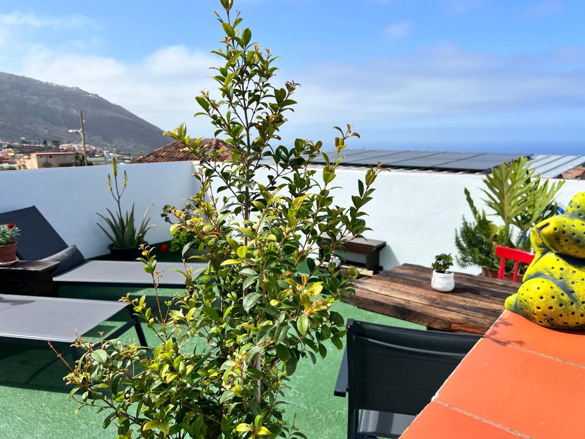 The Little Brezo Stone Home Tenerife Los Realejos Exterior photo